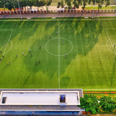 50mmのPEの学校の人工的な屋外のサッカーの総合的な草