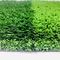 30mmのための総合的な屋外の人工的な草は25mmを35mmサッカー場