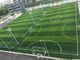 PEの自然な見るサッカー場の人工的な草50mm