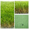 子供4mの幅25mmのための高密度SGSの景色の人工的な草